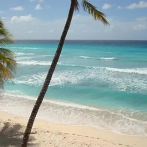 https://white-sands-beach-villas-villa-d.comcaribbean.com
